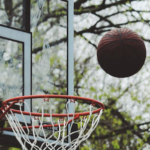 Meet your Posher, Adolphe